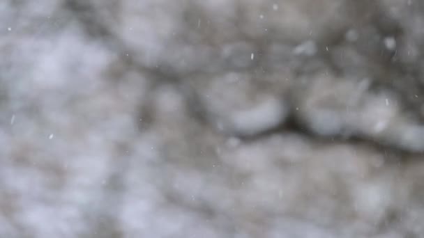 Inverno Suoi Fenomeni Naturali Lento Movimento Della Neve Nevicate Diurne — Video Stock