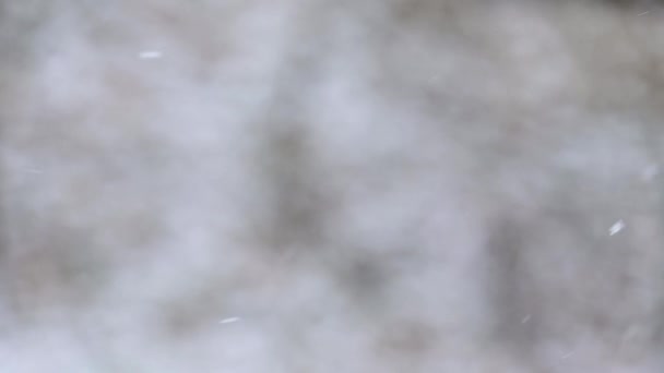 雪片のスローモーション 村の冬 窓からの雪の眺め ぼやけた動きとボケ — ストック動画