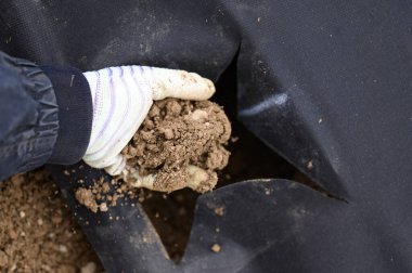 Bir insan çukurdan fazla toprak seçer, toprak yabani otlarla kaplıdır, bir insan sahada eldiven giyerek çalışır..