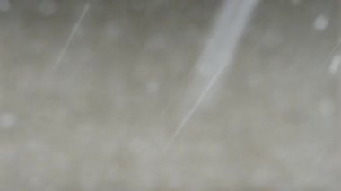 Harika bir kış sabahı, kar yağışı ve hafif bir esinti, gri duvarın arka planında doğa gözlemi