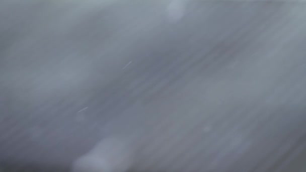 Přírodní Fenomén Zimě Foukání Sněhu Větru Pohled Okna Domě Obci — Stock video