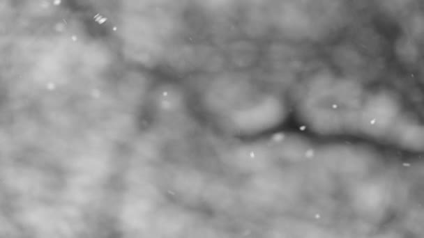 Зима Природные Явления Медленное Движение Снега Дневной Снегопад Вид Окна — стоковое видео
