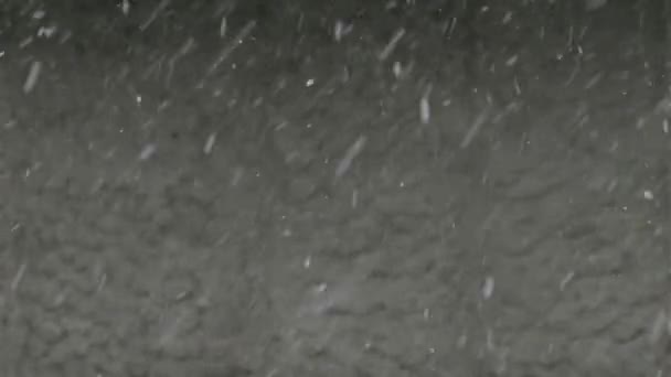 Υπέροχο Πρωινό Του Χειμώνα Χιονόπτωση Και Ελαφρύ Αεράκι Παρατήρηση Της — Αρχείο Βίντεο