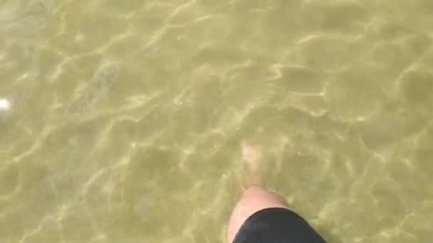 Ноги Воді Чиста Вода Чистий Пісок Березі Моря Жінка Ходить — стокове відео
