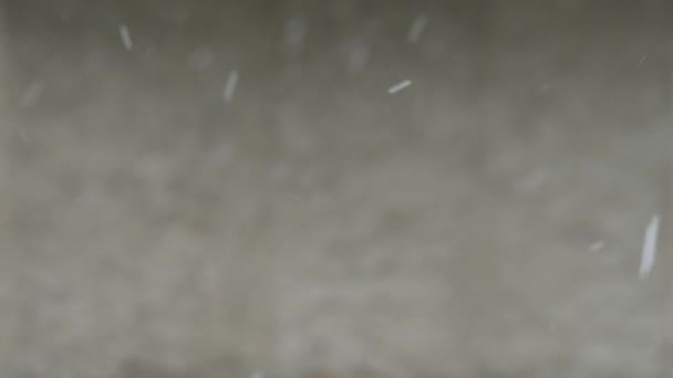 Чудесное Зимнее Утро Снегопад Легкий Ветерок Наблюдение Природой Фоне Серой — стоковое видео