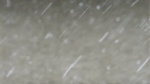 Wunderbarer Wintermorgen Schneefall Und Leichte Brise Naturbeobachtung Vor Dem Hintergrund — Stockvideo