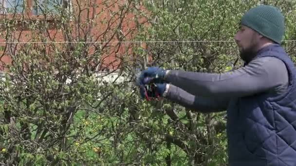 Jardinero Endereza Seto Con Hilo Tijeras Trabajos Primavera Jardín — Vídeo de stock