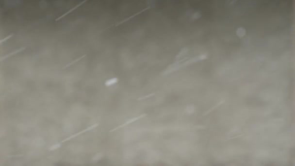 Magnifique Matin Hiver Chutes Neige Brise Légère Observation Nature Sur — Video