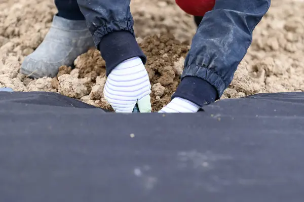 Ένας Εργάτης Στο Χωράφι Σκάβει Μια Τρύπα Ένα Φτυάρι Κάτω — Φωτογραφία Αρχείου