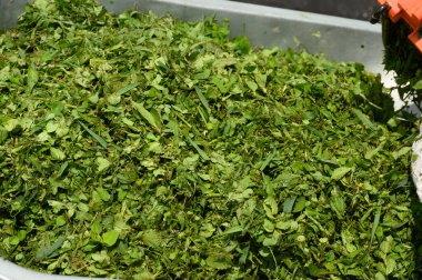 Bahçıvan sepetten el arabasına taze kesilmiş çimenler döker, sessizlik için küçük çimenler..