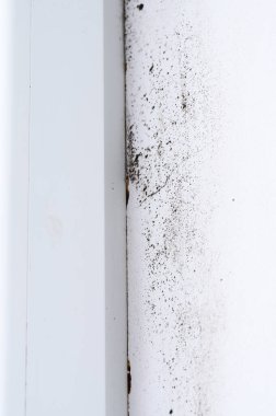 Evin iç duvarındaki pencere çerçevesinin yakınındaki mantar oluşumu.
