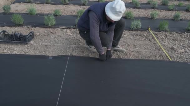 Hombre Una Mujer Conducen Una Clavija Plástico Negro Fibra Agrícola — Vídeo de stock