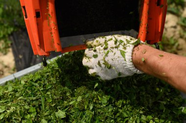 Bahçıvan sepetten el arabasına taze kesilmiş çimenler döker, sessizlik için küçük çimenler..