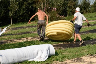 İşçiler ellerinde bir rulo sarı drenaj borusu taşırlar. Kanalizasyon çalışmaları ve yeraltı sularının kaldırılması için hazırlık.