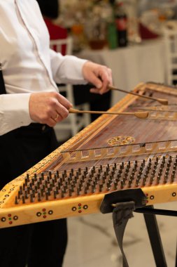 Düğünde ziller, Ukrayna ulusal müzik aleti, ziller, telli bir müzik enstrümanıdır..