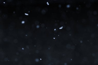 Gece gökyüzü arka planında düşen kar taneleri, post prodüksiyon için izole edilmiş ve grafik editörüyle örtülmüş. Siyah arkaplanda beyaz kar Bokeh 'i.