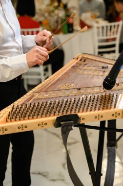 Düğünde ziller, Ukrayna ulusal müzik aleti, ziller, telli bir müzik enstrümanıdır..