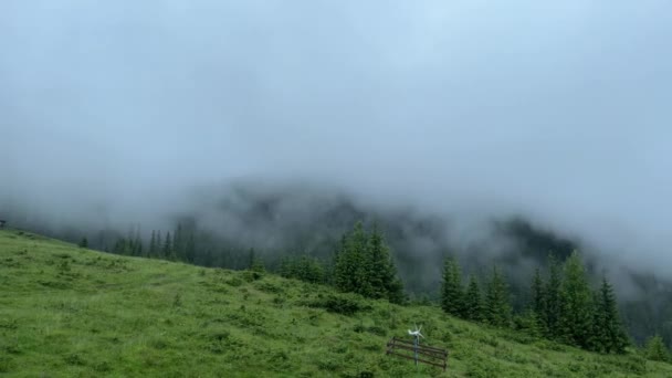 云彩相对于高山上某一点移动的时间 多雾的清晨 — 图库视频影像