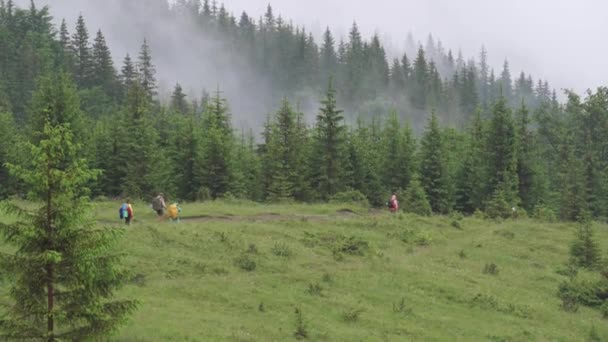 Zejście Turystów Karpat Ekscytujące Podróże Górach — Wideo stockowe