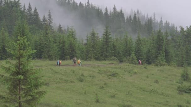 Karpat Dağlarından Gelen Turistlerin Soyu Dağlarda Heyecanlı Yolculuklar — Stok video