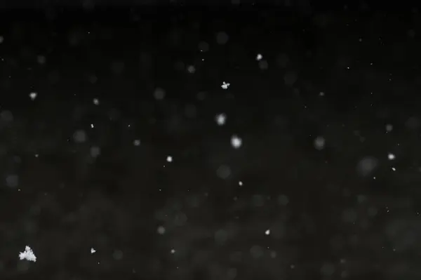 Bokeh of white snow on a black background. Snowfall - new design element.
