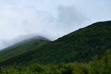 Karpat Dağları 'ndaki Ukhaty Kamin Dağı' nın zirvesi Karpat Dağları 'nın popüler dağlarından biridir..