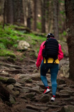 Sırtında sırt çantası olan spor giysili bir kız ormanda yürüyüş parkurunda yürüyor dağlarda aktif olarak dinleniyor..