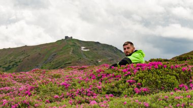A man sits between the bushes of flowering rhododendrons against the background of Mount Pip Ivan Chornohirskyi, the season of rhododendrons in the mountains. clipart