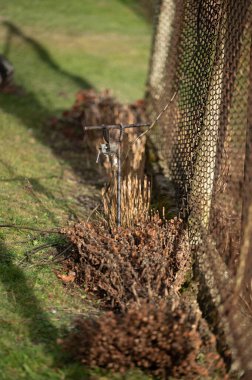Elektrik iletim hattı üzerinde çalışırken temel elektrik topraklama, metal topraklama çubukları.