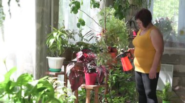 Çiçekleri elle spreyle sulamak, saksılarla ilgilenmek..