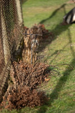 Elektrik iletim hattı üzerinde çalışırken temel elektrik topraklama, metal topraklama çubukları.