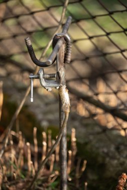 Elektrik iletim hattı üzerinde çalışırken temel elektrik topraklama, metal topraklama çubukları.