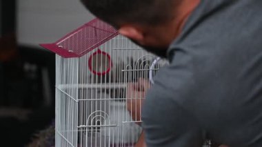 Bir adam ve bir kuş arasındaki arkadaşlık, elinde küçük mavi bir papağan tutan bir adam, evcil bir kuş ev sahibinin gözdesidir..