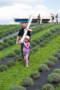 Babası tahta tahtaları omuzlarında taşıyor ve küçük kızı da ona yardım ediyor. İş lavanta tarlasında geçiyor..