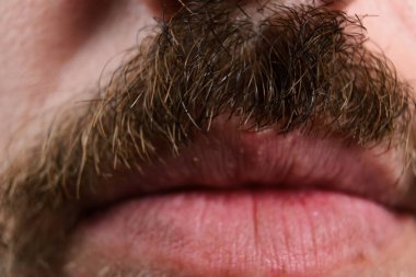 Bir insanın bıyığının detaylı görüntüsü, desen ve rengini gözler önüne seriyor. Görüntü aynı zamanda üst dudağın üstündeki bölgeyi ve dudakların kendisini de yakalar..