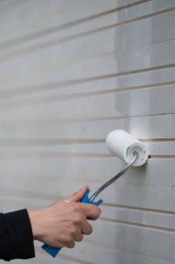 Duvarı silindirle beyaza boyamak, ahşap duvarları boyamak..