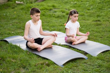 İki genç çocuk, çimenli bir alanda yoga minderleri üzerinde bağdaş kurmuş, gözleri meditasyon pozunda kapalı oturuyorlar. Huzurlu açık hava sahnesi.
