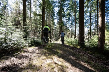 Dağ bisikletçileri yemyeşil bir ormanda bisiklet sürerek güneşli bir günün tadını çıkarırlar. Güneş ışığı ağaçların arasından süzülüp ilerideki yolu aydınlatıyor. Huzurlu ve huzurlu bir sahne.