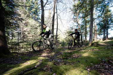 İki bisikletçi, uzun ağaçların arasındaki gür, yosunlu patikada mola verir. Güneş ışığı gölgelikten süzülerek barışçıl bir atmosfer yaratır..