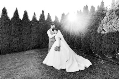 Siyah ve beyaz bir görüntü, gelin ve damat arasındaki hassas anı yakalar. Yakın dururlar, kucaklarlar, düzgünce budanmış bir çitin önünde, dalların arasından süzülen güneş ışığı.