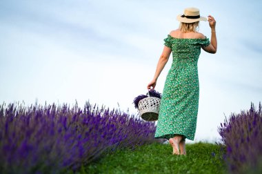 Canlı bir lavanta tarlasında gezinen bir kadının sakin bir sahnesi. Bir sepet koparılmış çiçek taşıyor, sakin yaz atmosferinin tadını çıkarıyor..