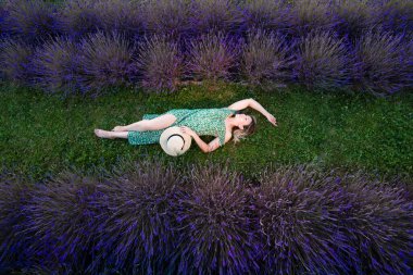 Canlı mor lavanta sıralarının arasında çimlerin üzerinde uzanan bir kadının havadan görünüşü. Çiçekli bir elbise ve güneş şapkası giyiyor. Huzur ortamının tadını çıkarıyor..