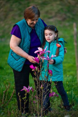 Nesiller arası bağlantının hassas bir sahnesi. Yaşlı bir kadın ve genç bir kız manolya çalılarını nazikçe incelerken aile üyeleri arasında güzel bir bağ olduğunu gösterir..