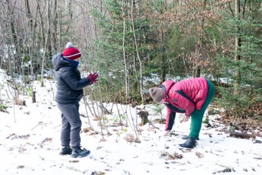 Kışın giyinmiş iki genç, karlı bir orman manzarasının tadını çıkarıyor. Bir çocuk bir şeyler toplarken diğeri gözlemliyor gibi görünüyor. Orman zemini kısmen karla kaplı..