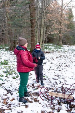Bir kadın ve çocuk kış ormanlarında kızakla kaymaya hazırlanıyor. Zemin kısmen kar ve düşen yapraklarla kaplı. Soğuk hava için sıcak giyinmişler..
