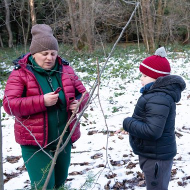 Yetişkin ve küçük bir çocuk, kışlık giysiler içinde, karla kaplı bir ormanı keşfeder. Küçük dalları inceliyorlar, muhtemelen bir doğa projesi ya da oyun için. Huzurlu ve huzurlu bir sahne..