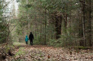 Huzurlu bir gezinti bir ebeveyn ve çocuk ormanda dolaşırken, yüksek ağaçlar ve yumuşak sonbahar yaprakları altında çıtırdıyor.