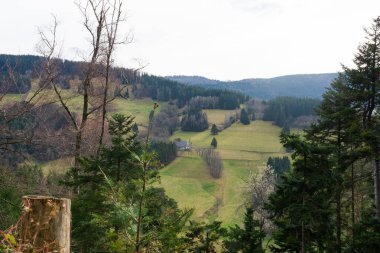 Dağların tam göbeğinde, hareketli yeşilliğin sakin gökyüzü ile buluştuğu, hareketli dünyadan barışçıl bir geri çekilme sunan yuvarlanan tepelerin arasında, tuhaf bir ev duruyor..