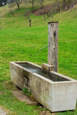 Huzurlu bir kırsal alanda, eskimiş beton bir su yalağı ahşap bir direğin yanında oturur, yemyeşil çimlerle çevrili ve yavaşça yuvarlanan tepeler, bir huzur hissi uyandırır..