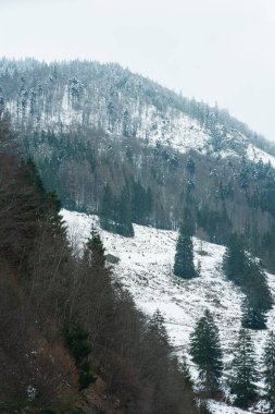 Huzurlu kış manzarası, doğada huzurlu ve sakin bir atmosferi çağrıştıran, gri gökyüzünün altında her zaman yeşil ağaçlarla bezenmiş karla kaplı yamaçlara sahiptir..